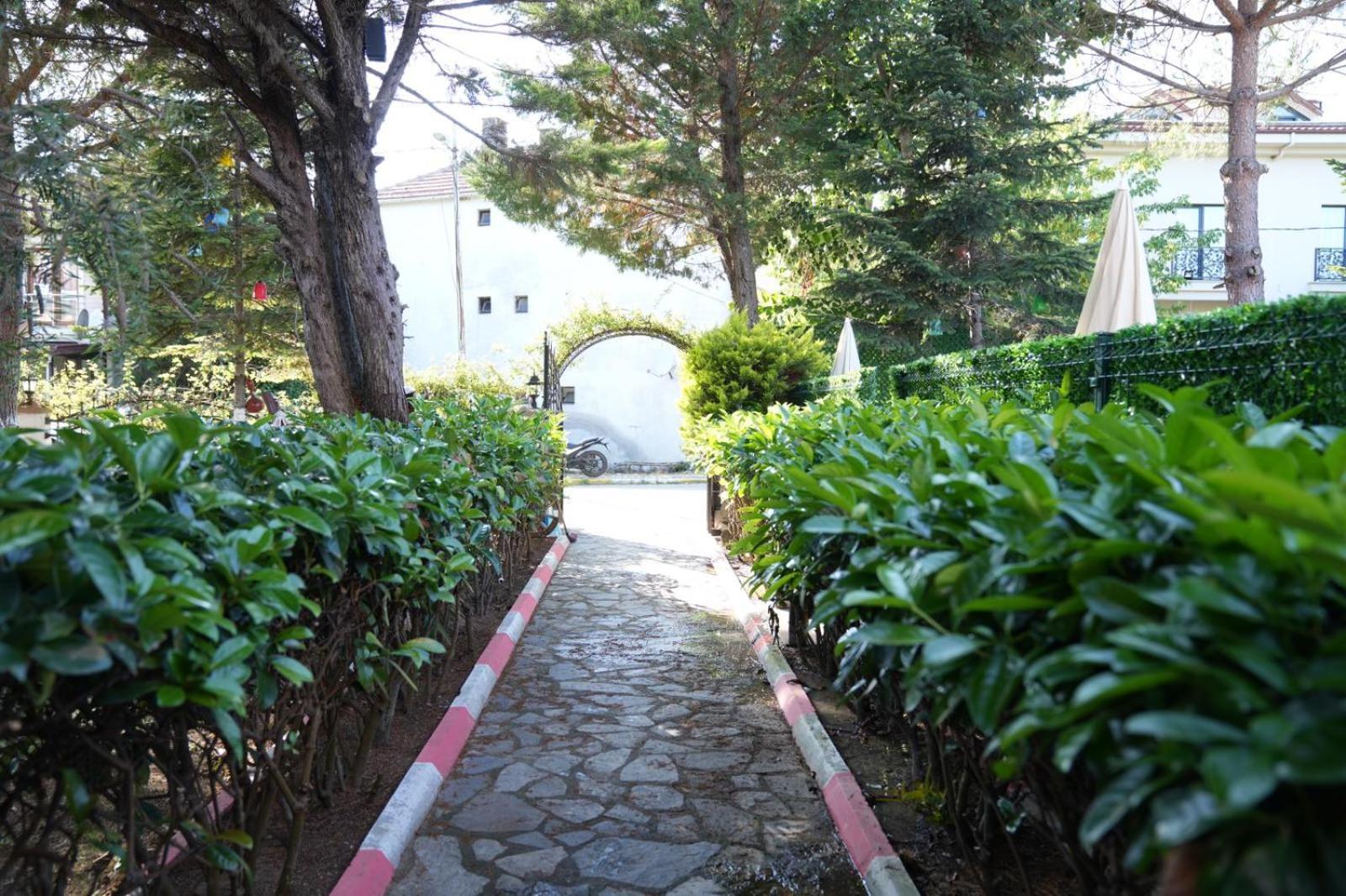 Butterfly Boutique Hotel Agva المظهر الخارجي الصورة